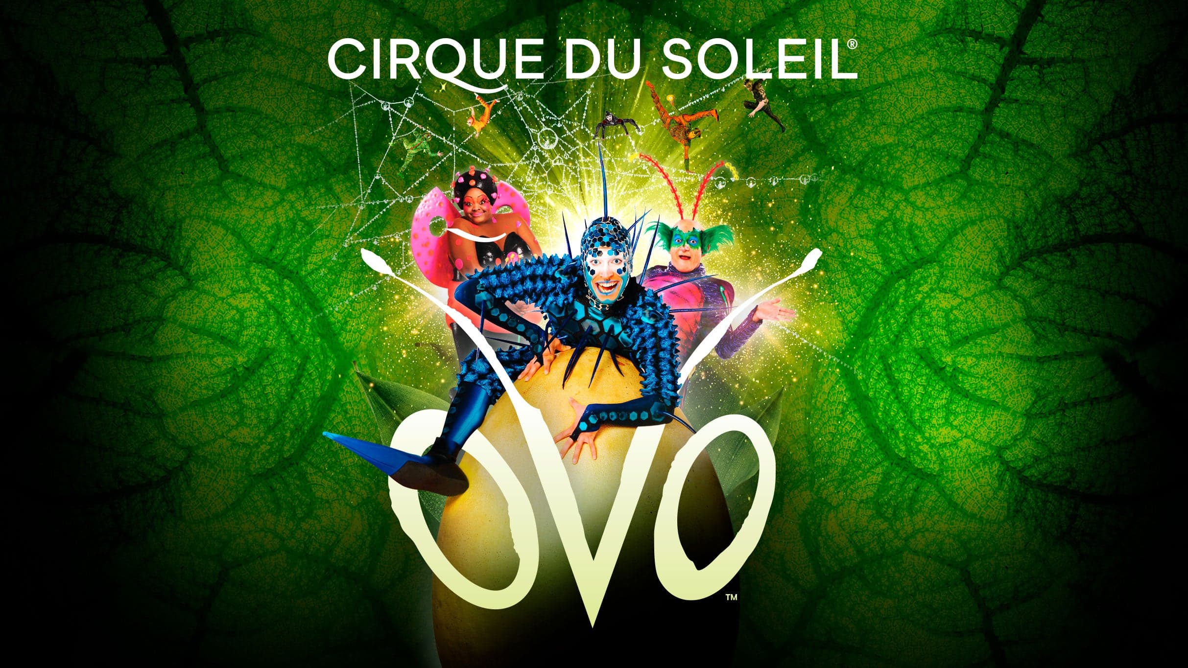 Cirque du Soleil