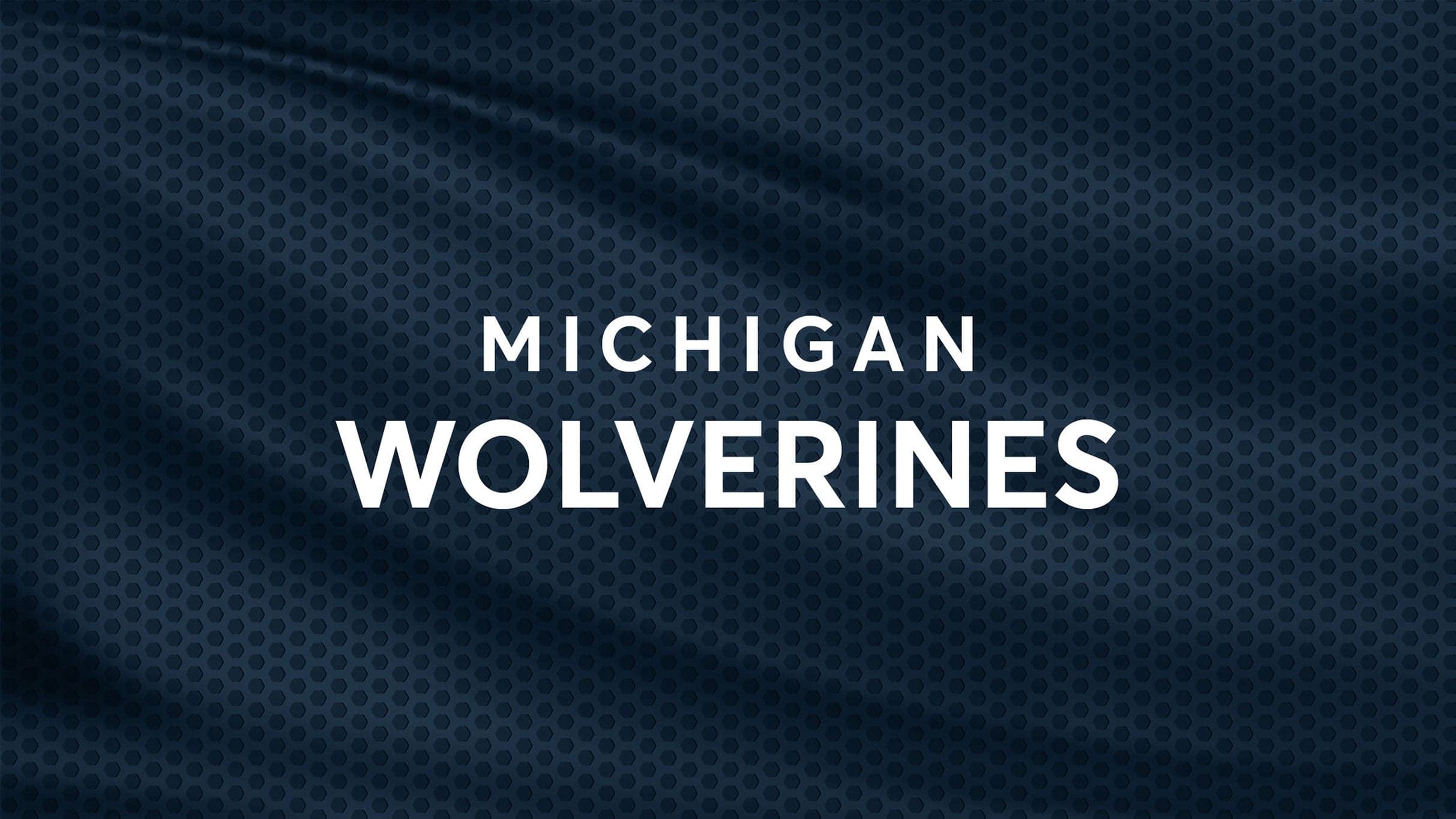 Michigan Wolverines Football